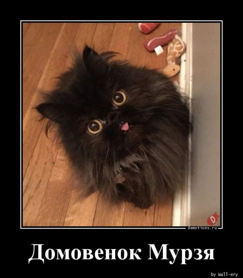 Когда китайцы дерутся район на район - драку видно из космоса Когда китайцы дерутся район на район - драку видно из космоса анекдоты,демотиваторы,приколы,юмор