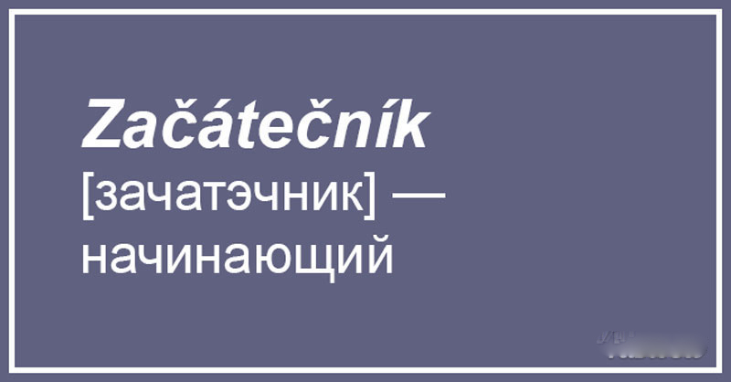 Чешский, что ты делаешь? Прекрати. 20 случаев, когда сдержать смех просто нереально 