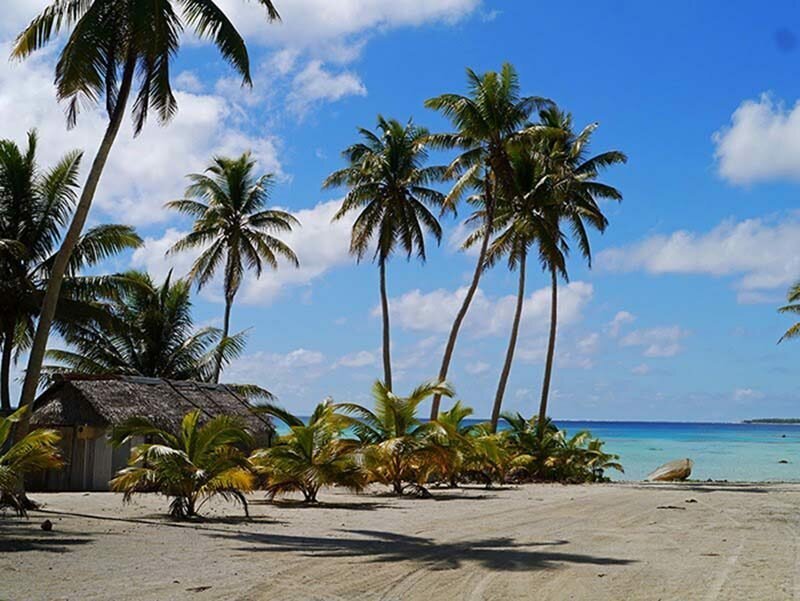 В городе посреди Тихого океана, проживает 62 человека, которые являются потомками одного мужчины 
