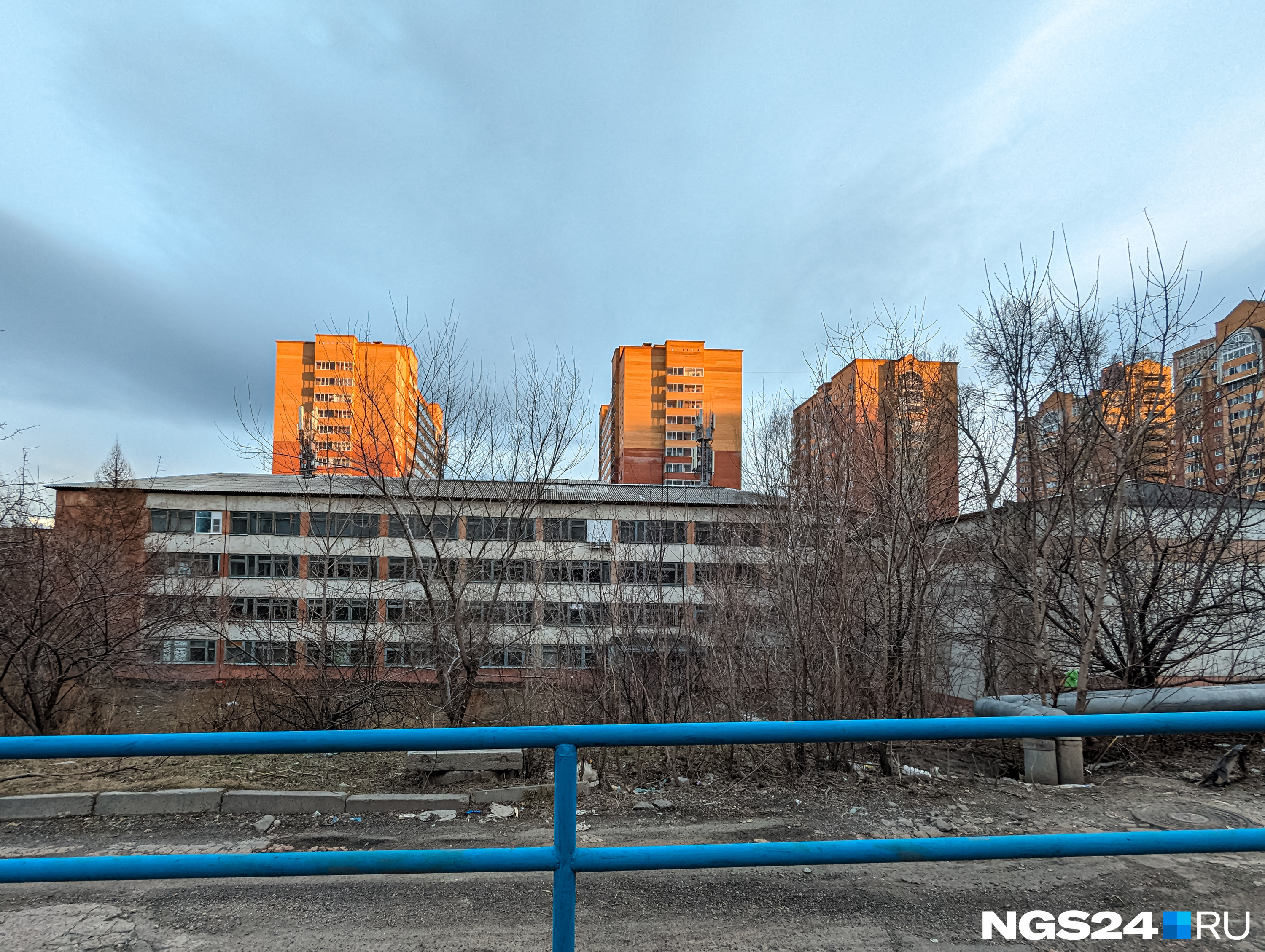 Рябиновый Сад Красноярск Купить