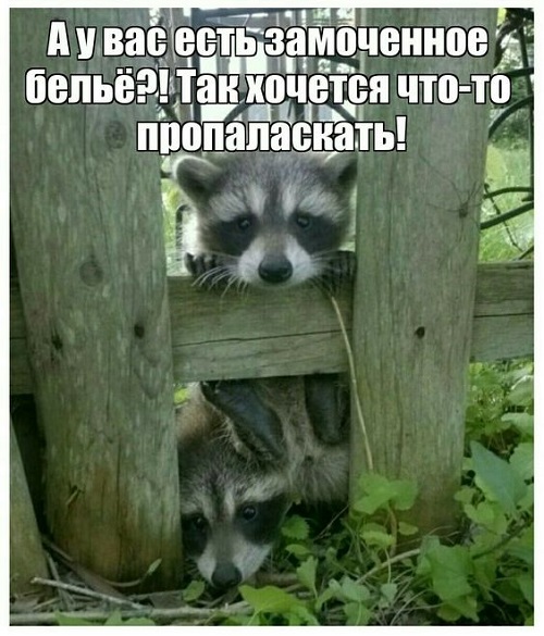 Шутки и анекдоты для заразительного смеха Шутки и анекдоты для заразительного смеха