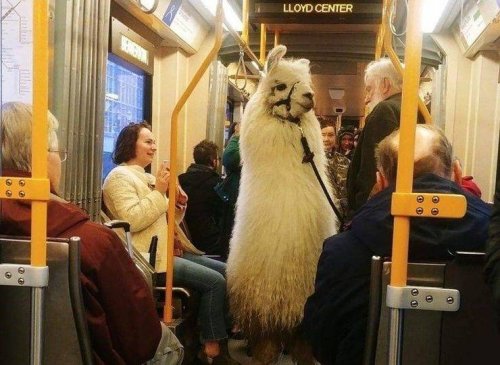 Что здесь происходит?! Что здесь происходит?! смешные картинки