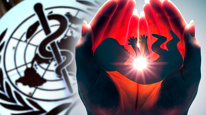 ВСЕМИРНАЯ ОРГАНИЗАЦИЯ ЗАХОРОНЕНИЯ. РЕЦЕПТЫ ВОЗ ВЕДУТ К СКОРЕЙШЕМУ ВЫМИРАНИЮ РОССИИ