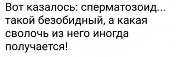 Оптимист - человек, намеревающийся вступить в брак. Пессимист - женатый оптимист Мусорный, великих, титул, рыцаря, мощных, люлей, Чебоксарах12, Ктото, автостопщиков, тогда, говорил, ладится, контакт, водителем, кабину, наполняет, получил, 2003й, тишина, залаяла