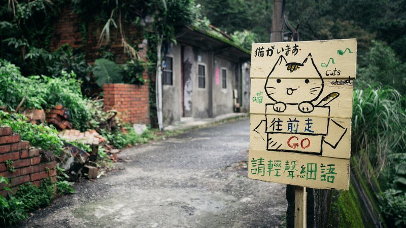 Самые кошачьи города мира: Новый Тайбэй, Тайвань Тайбэй, Тайвань, кошачий туризм, кошки, туризм, хоутун, эстетика