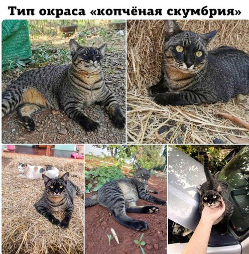 Юмору быть! Свежая ночная подборка Юмору быть! Свежая ночная подборка