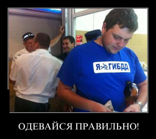 Новые демотиваторы-приколы (12 шт)