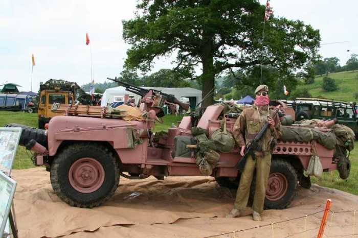 Зачем в некоторых армиях используют розовый камуфляж