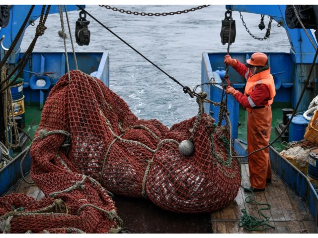 Эффективность или безумие? Что даст сокращение российских рыбаков? Эффективность или безумие? Что даст сокращение российских рыбаков? россия