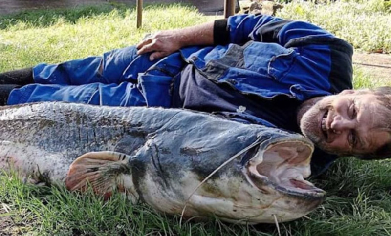 Рыбак поймал в странном озере карпа размером с человека
