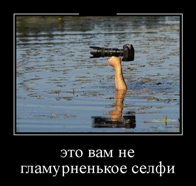 [5] Демотиваторы (30 фото)