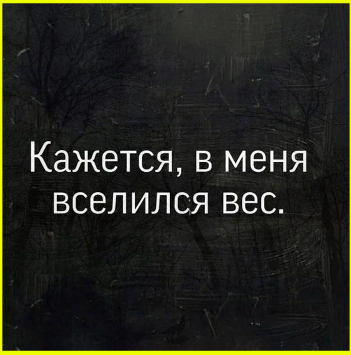 В лесу родилась ёлочка, в квартире умерла… Доброутрешние веселые картинки 