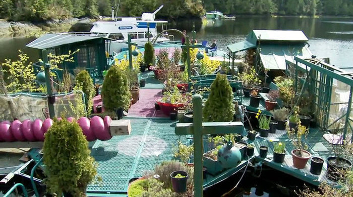 Семья из Канады построила себе остров Семья из Канады построила себе остров