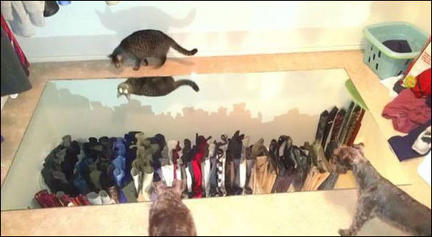 Люди продают зеркала Люди продают зеркала