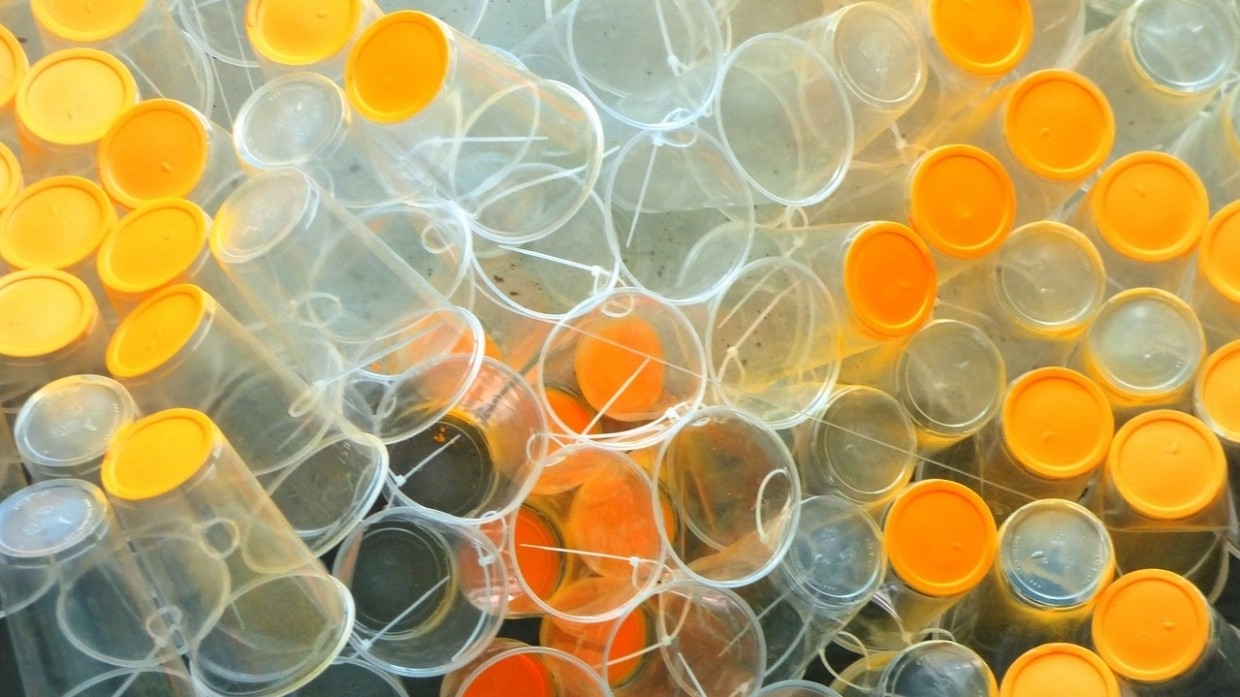 РЭО: свыше 40 объектов обращения с отходами появятся в России в 2021 году