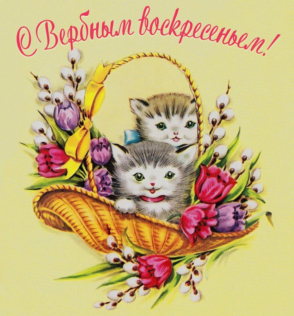 Красивые открытки с Вербным воскресеньем для родителей, бабушек и дедушек, свекрови, подруг — в общем, всех Вербным, Вербное, открытки, воскресенье, Христа, вербы, праздников, открыток, православные, близкими —, Однако, можно, небольшое, разрешает, употреблять, церковь, горячую, православная, застолье, шумных