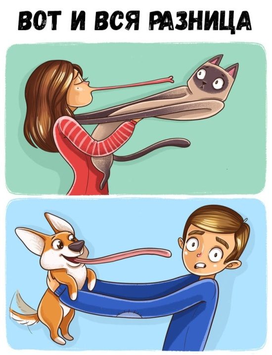 Подборка самых весёлых картинок 