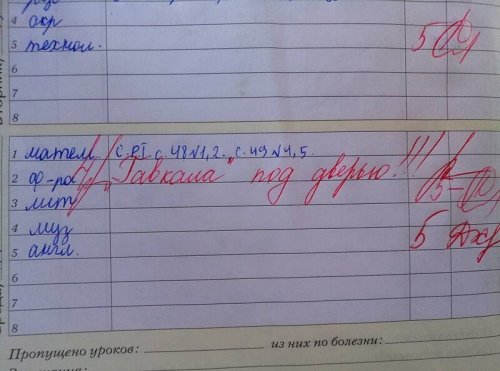 Смешные замечания в школьных дневниках Смешные замечания в школьных дневниках