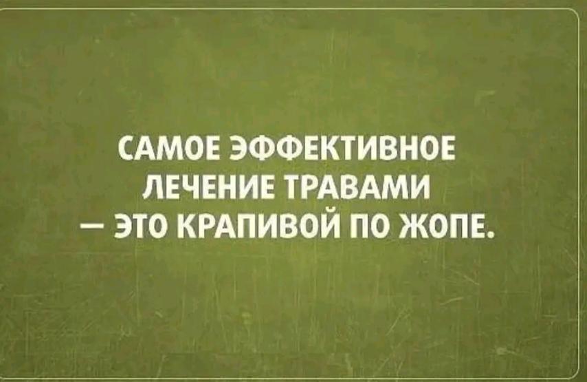 Немного позитива с непревзойденным юмором Немного позитива с непревзойденным юмором