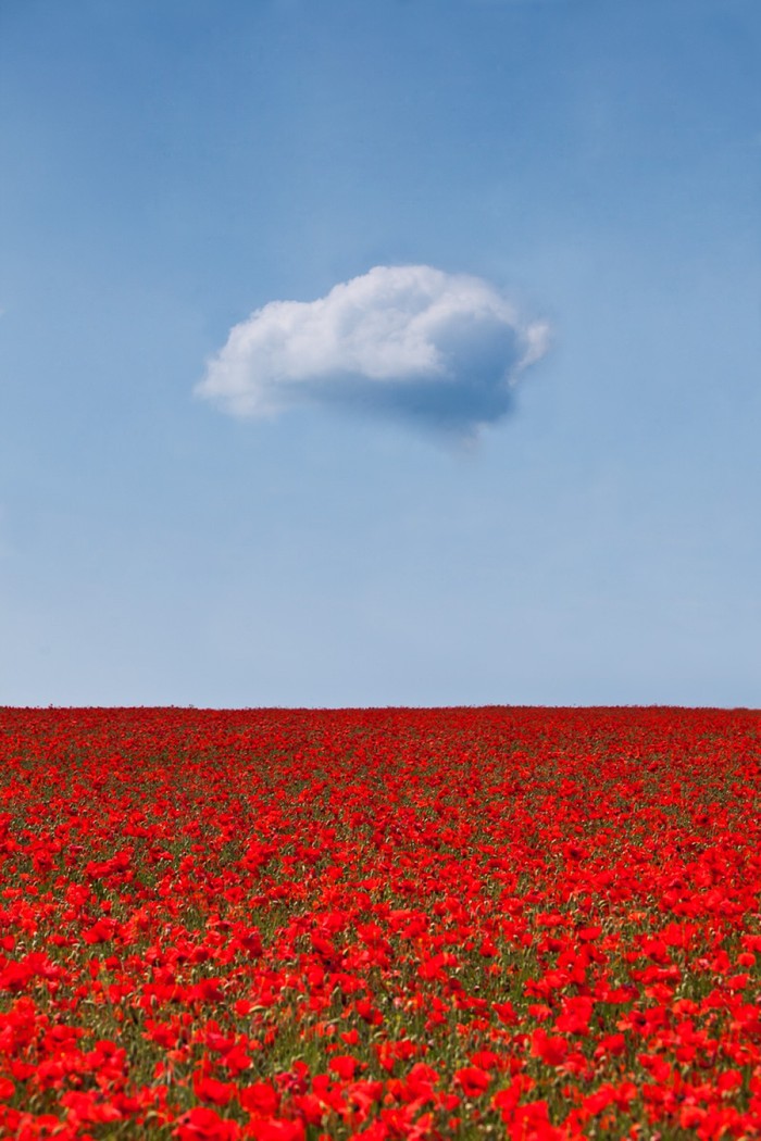 21 фотография для тех, кто понимает минимализм 21 фотография для тех, кто понимает минимализм