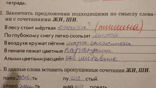 Домашняя работа школьников может быть веселой Домашняя работа школьников может быть веселой