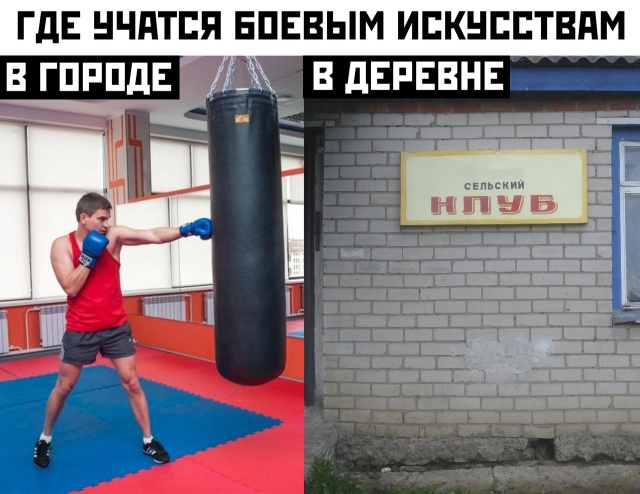 Подборка прикольных картинок Подборка прикольных картинок смешные картинки