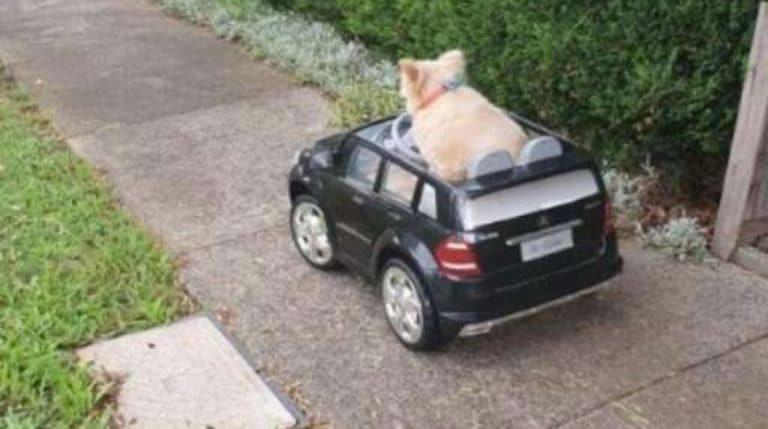 BeFunky-collage (26)