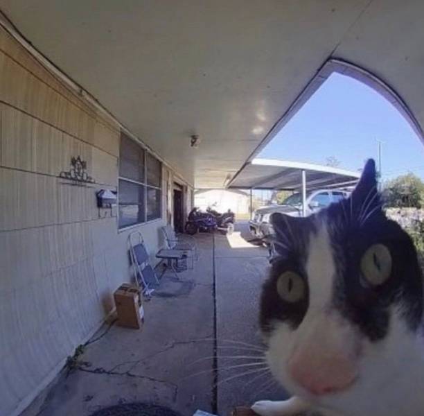 Подборка прикольных картинок Подборка прикольных картинок приколы,смешные картинки,юмор