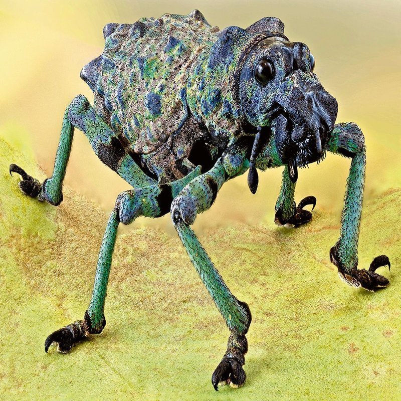        ""     , , , , , 