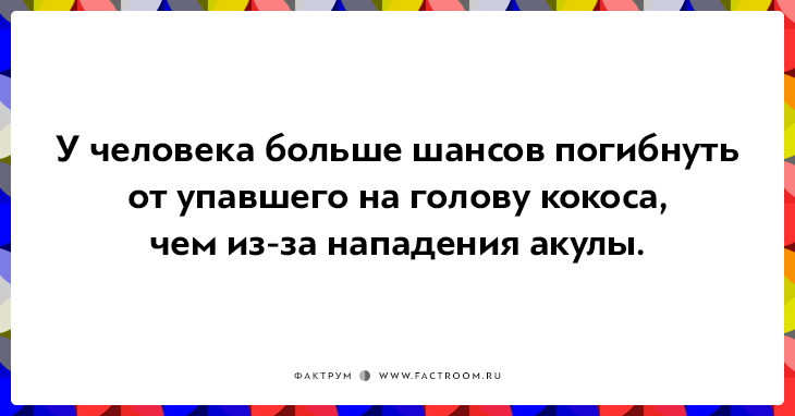 20 неожиданных фактов, которые на самом деле чистая правда