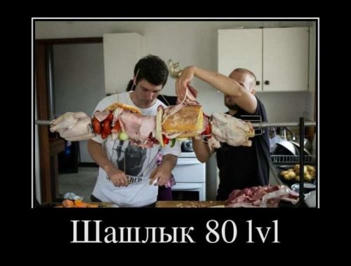 Немного прикольных демотиваторов 