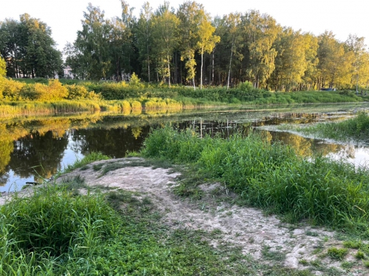 В Тверской области в реке было обнаружено тело мужчины