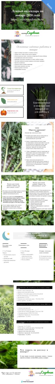 Лунный календарь огородника на январь 2020 года дача,лунный каленадь,природа