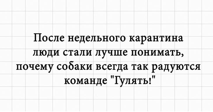 Шутки для хорошего настроения, добрые и смешные 