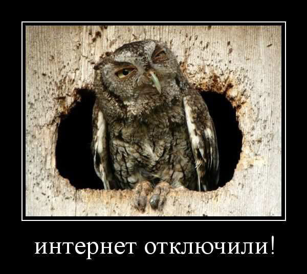 Прикольные демотиваторы: «Теперь понятно…» 