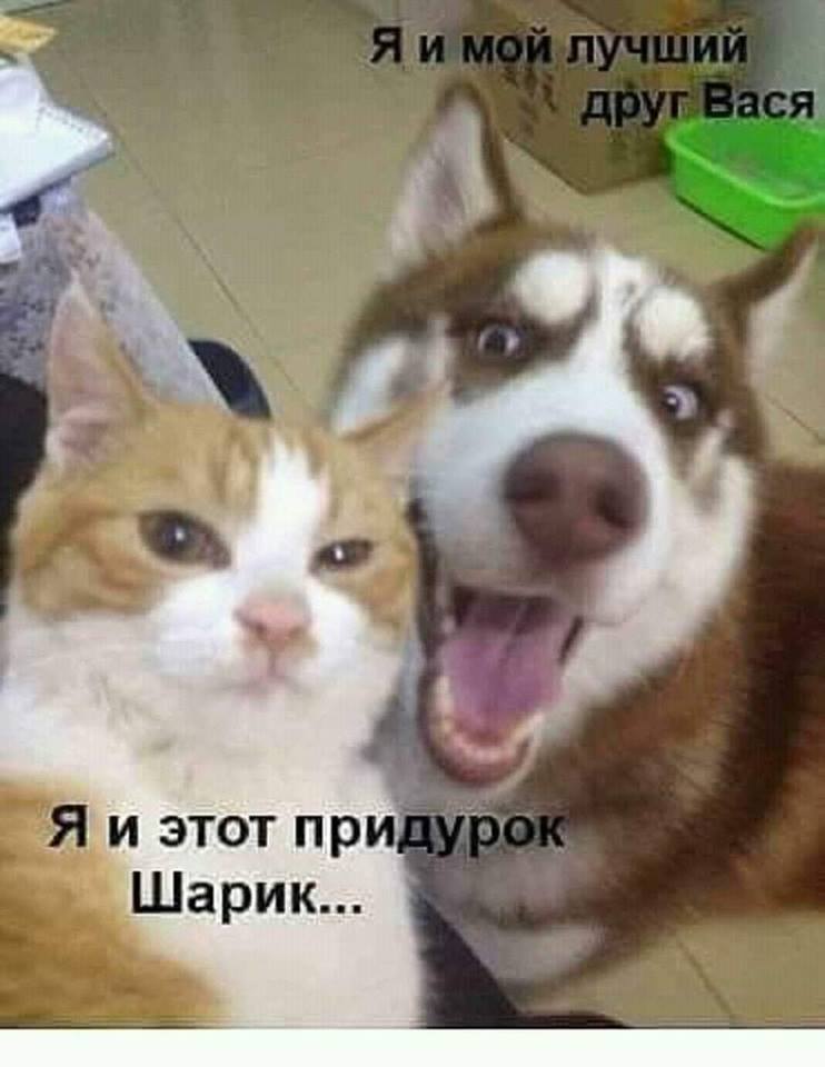 Сидит мужик на кухне, вдруг выползает таракан и говорит Сидит мужик на кухне, вдруг выползает таракан и говорит анекдоты
