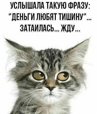 Срочно!!! Ищу мужа для своей подруги! анекдоты,веселье,демотиваторы,приколы,смех,юмор