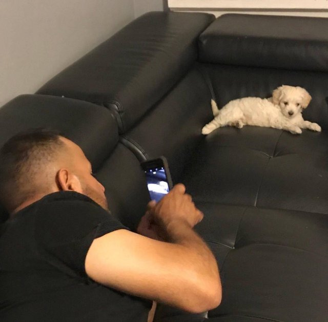 Эти мужчины были против собак в доме Эти мужчины были против собак в доме животные,жизнь,позитив,собаки