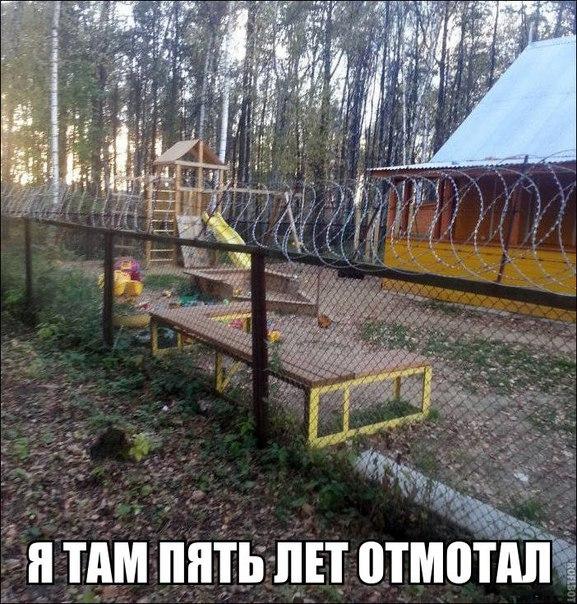 Веселые фото приколы и милые картинки с надписями 