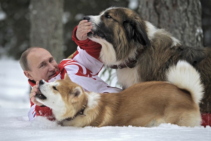 ÐŸÐÑˆÐ, ÐÐ¼Ñ Ð¸ Ð´Ñ€ÑƒÐ³Ð¸Ð ÑÐ¾ÐÐÐºÐ¸ ÐŸÑƒÑ‚Ð¸Ð½Ð. Ð Ð¾ÑÑÐ¸Ð¹ÑÐºÐ¾Ð¼Ñƒ Ð¿Ñ€ÐÐÐ¸Ð´ÐÐ½Ñ‚Ñƒ Ð¿Ð¾Ð´ÐÑ€Ð¸ÐÐ¸ ÐÑ‰Ð Ð¾Ð´Ð½Ð¾Ð³Ð¾ Ñ‰ÐÐ½ÐºÐ