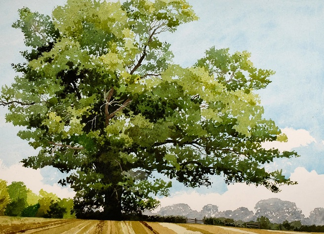 Summer Oak Petworth (656x474, 453Kb)