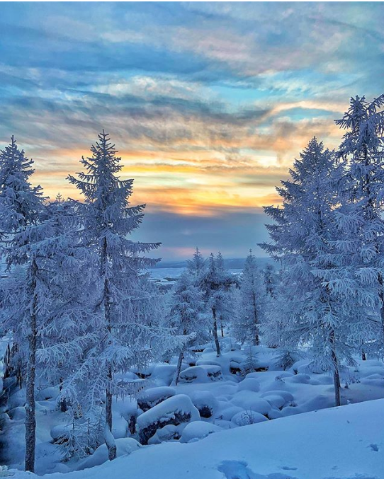 11 сочных снимков о суровой сибирской зиме Якутии, здесь, Якутск, подумать, немного, самым, холода, перед, пугливые, мороз, возможности, успела, спокойно, ждать, получилось», «Деревья, снежном, Лошади, жеребца, клубы