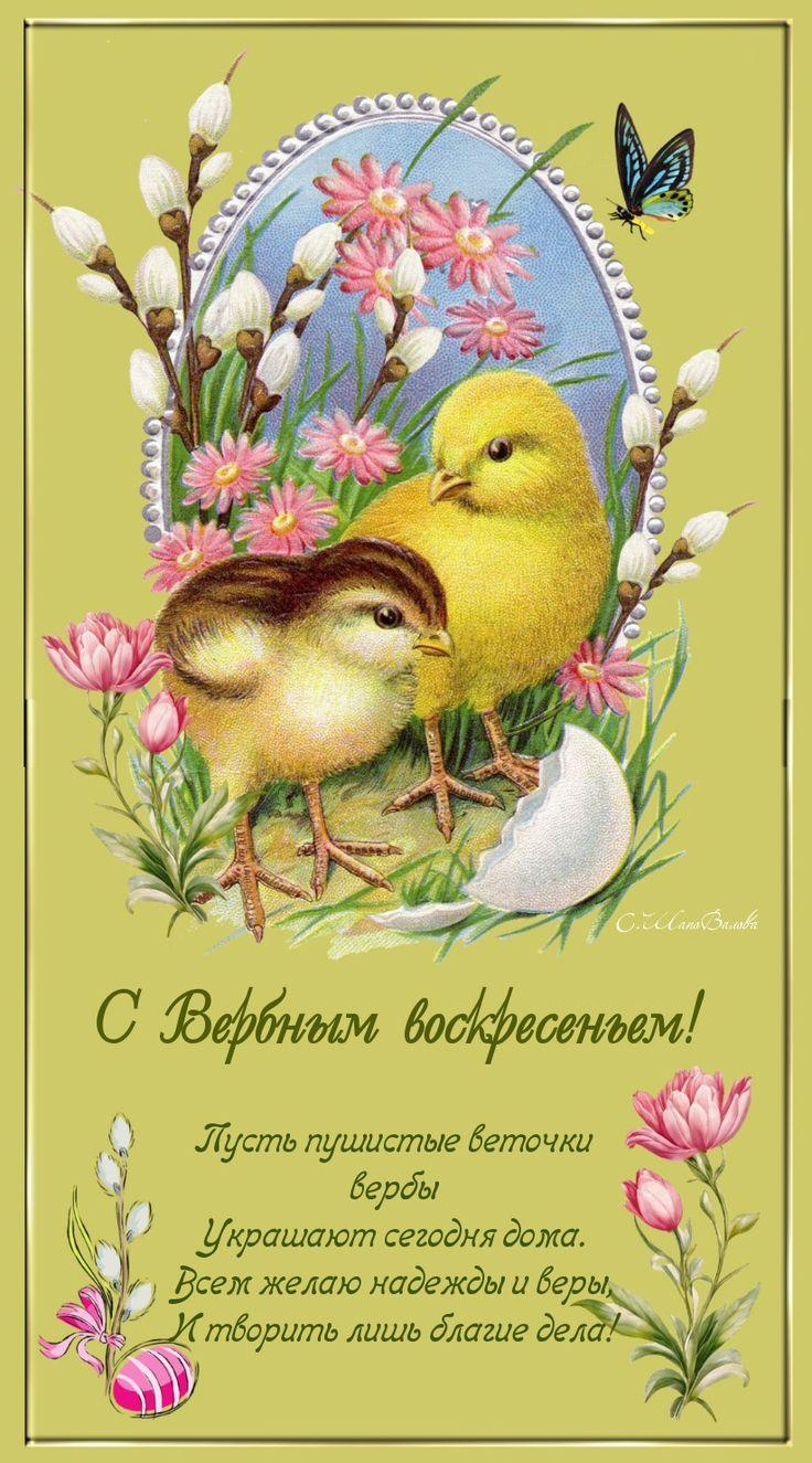 Красивые открытки с Вербным воскресеньем для родителей, бабушек и дедушек, свекрови, подруг — в общем, всех Вербным, Вербное, открытки, воскресенье, Христа, вербы, праздников, открыток, православные, близкими —, Однако, можно, небольшое, разрешает, употреблять, церковь, горячую, православная, застолье, шумных