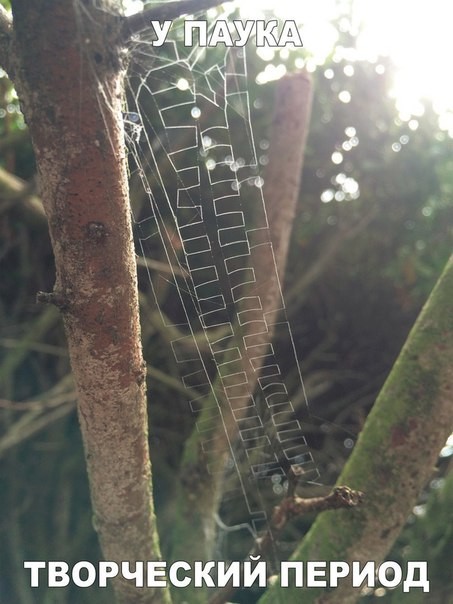 Очередная подборка картинок с подписями картинки с подписями, подборка, юмор