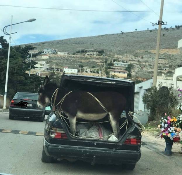 Подборка прикольных картинок  приколы,смешные картинки,юмор