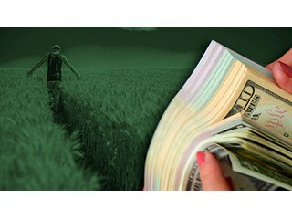 Время феодалов. Как живет глубинная Украина