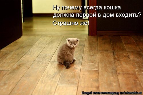 http://mtdata.ru/u29/photoBF30/20123192009-0/original.jpg