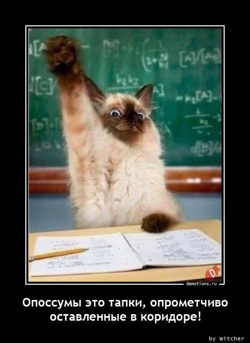 Традиционная коллекция прикольных демотиваторов для поддержания отличного настроения! Традиционная коллекция прикольных демотиваторов для поддержания отличного настроения!