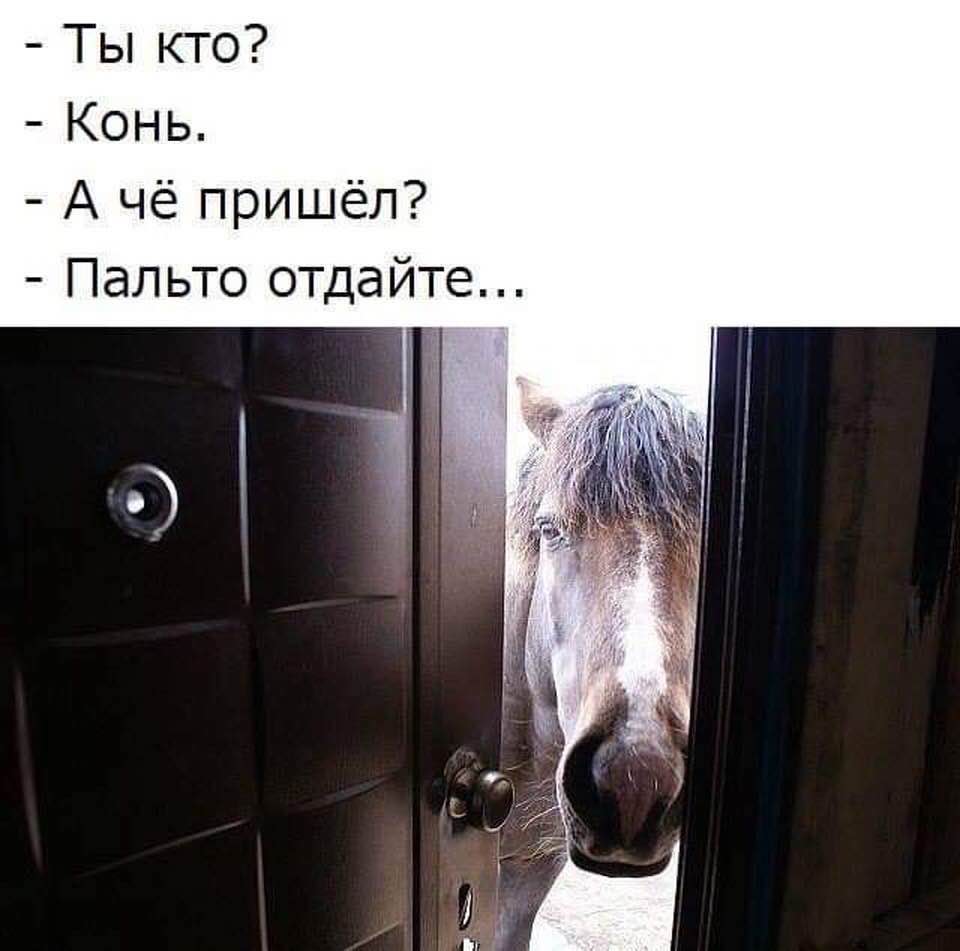 И вдруг совершенно неожиданно конь