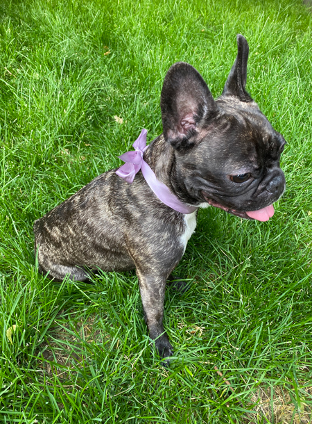 Александра Михалкова с сыном Федором и Ирина Мартыненко с сыном Леоном снялись в лукбуке коллекции Натальи Туровниковой Александра Михалкова с сыном Федором и Ирина Мартыненко с сыном Леоном снялись в лукбуке коллекции Натальи Туровниковой Мода,Новости моды